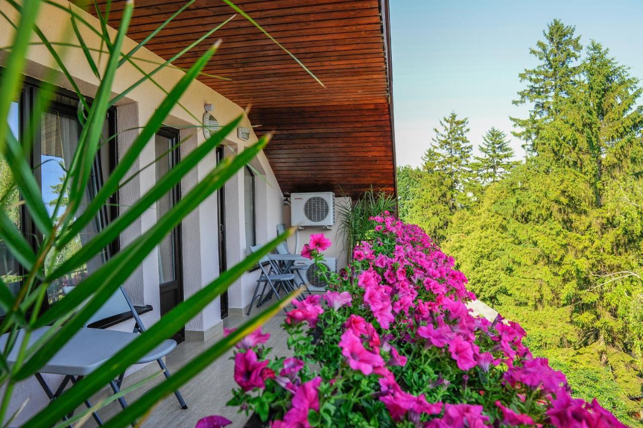 Villa Alice Suceava Eksteriør billede
